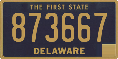 DE license plate 873667