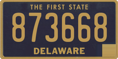 DE license plate 873668