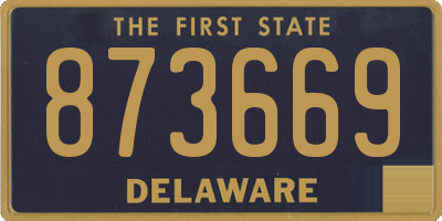 DE license plate 873669