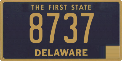 DE license plate 8737