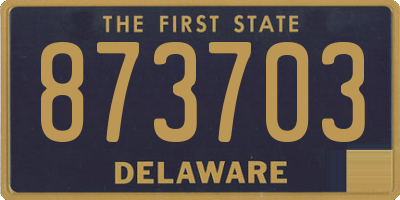 DE license plate 873703