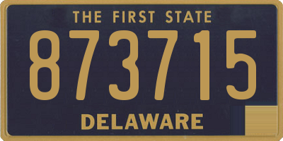 DE license plate 873715