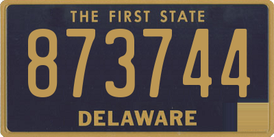 DE license plate 873744