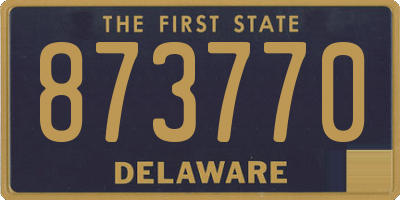 DE license plate 873770