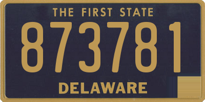 DE license plate 873781