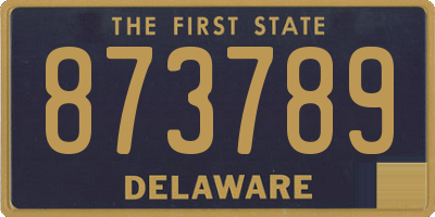 DE license plate 873789