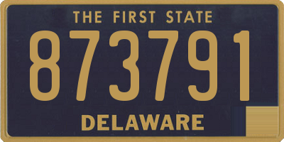 DE license plate 873791