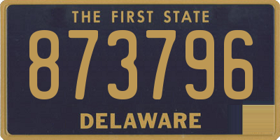 DE license plate 873796