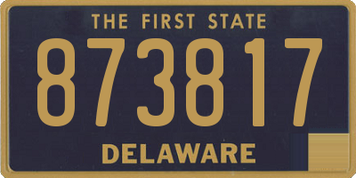 DE license plate 873817