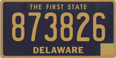 DE license plate 873826