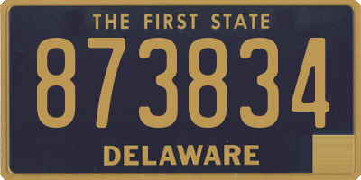 DE license plate 873834