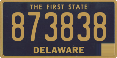 DE license plate 873838