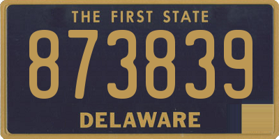 DE license plate 873839