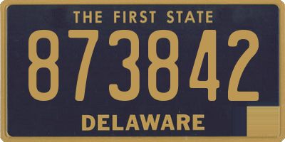 DE license plate 873842
