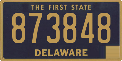 DE license plate 873848