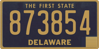 DE license plate 873854