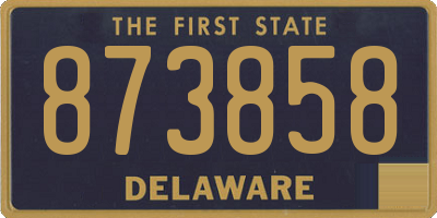 DE license plate 873858