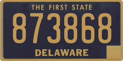 DE license plate 873868