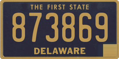 DE license plate 873869