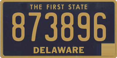DE license plate 873896