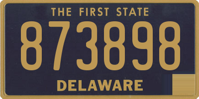 DE license plate 873898