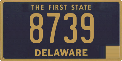 DE license plate 8739