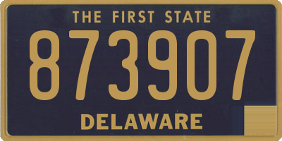 DE license plate 873907