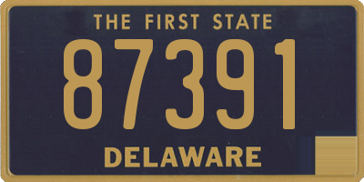DE license plate 87391