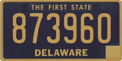 DE license plate 873960