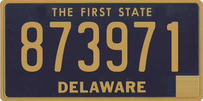 DE license plate 873971