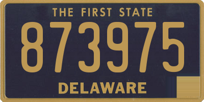 DE license plate 873975