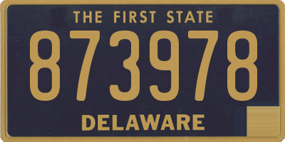 DE license plate 873978
