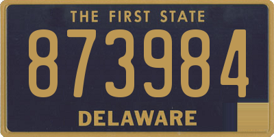 DE license plate 873984