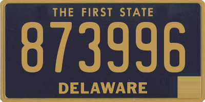 DE license plate 873996