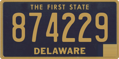 DE license plate 874229