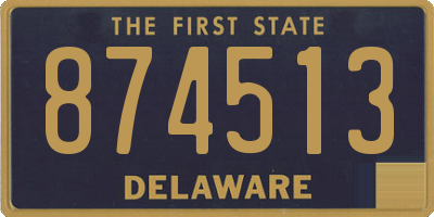 DE license plate 874513