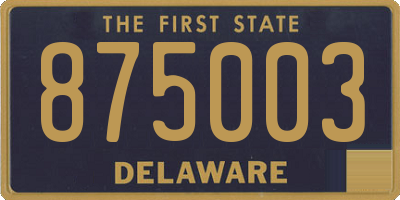 DE license plate 875003