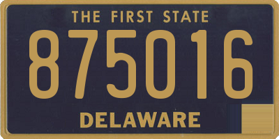DE license plate 875016