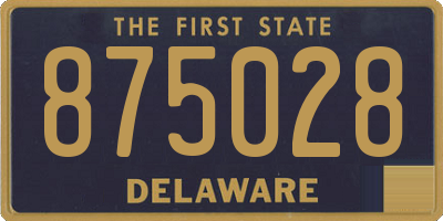 DE license plate 875028