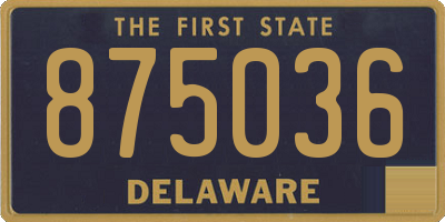 DE license plate 875036
