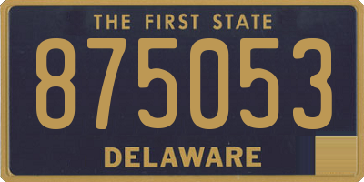 DE license plate 875053