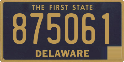 DE license plate 875061