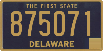 DE license plate 875071