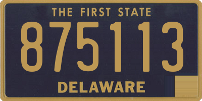 DE license plate 875113