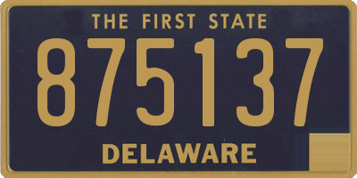 DE license plate 875137