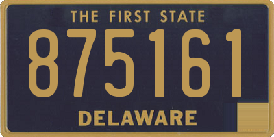 DE license plate 875161