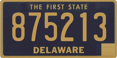 DE license plate 875213