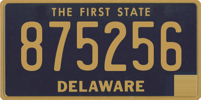DE license plate 875256