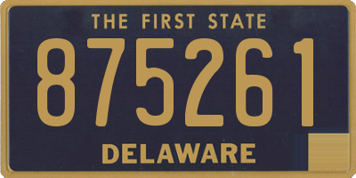 DE license plate 875261