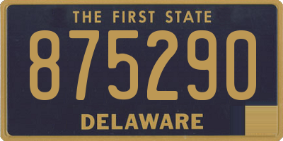 DE license plate 875290